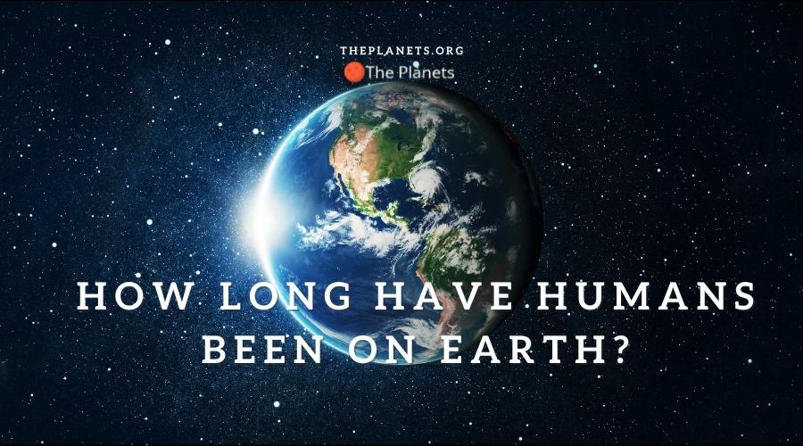 How Long Have Humans Been On Earth?