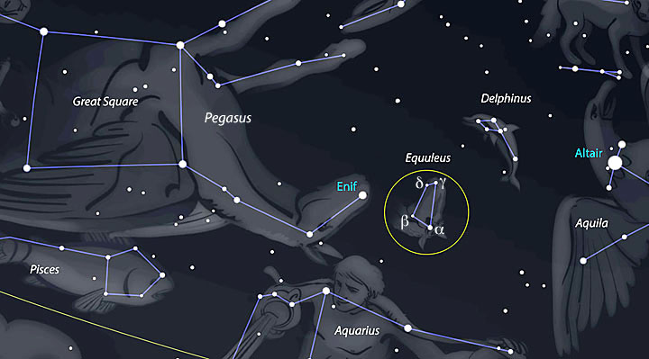 Equuleus Constellation