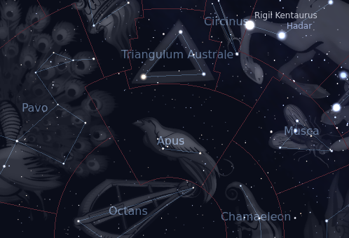 Constellation Of Apus