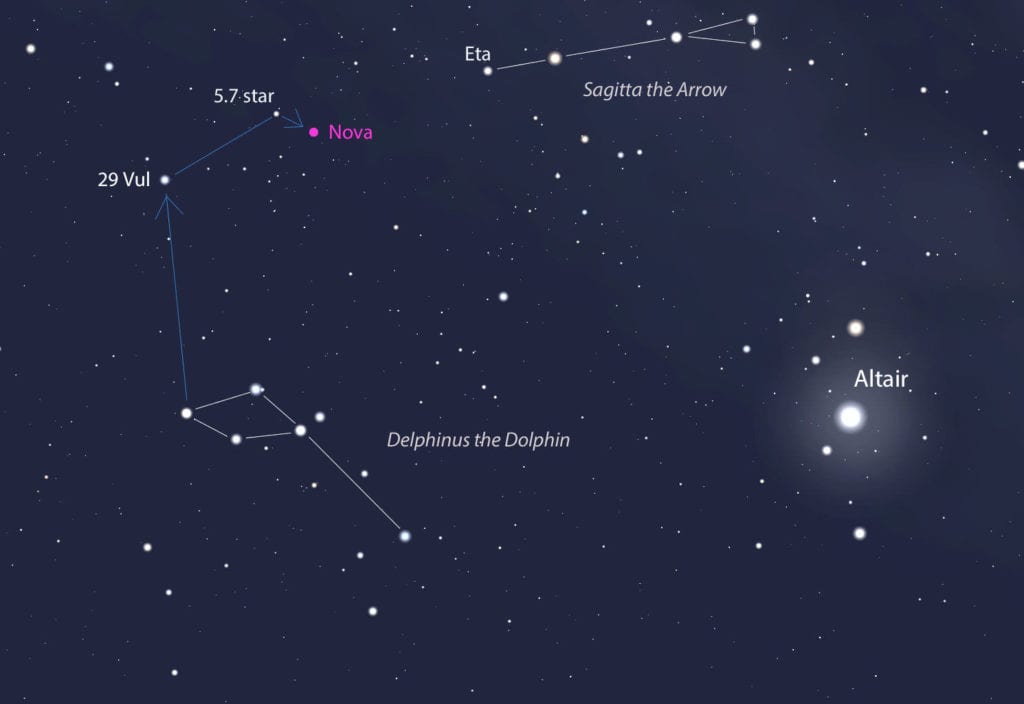 Constellation Of Delphinus