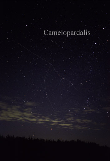 Constellation of Camelopardalis