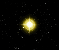 the star terebellum