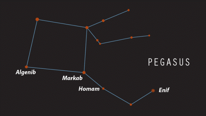 Constellation of pegasus