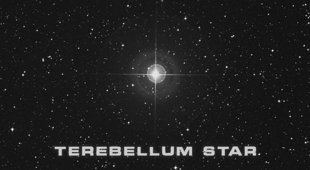 Terebellum Star