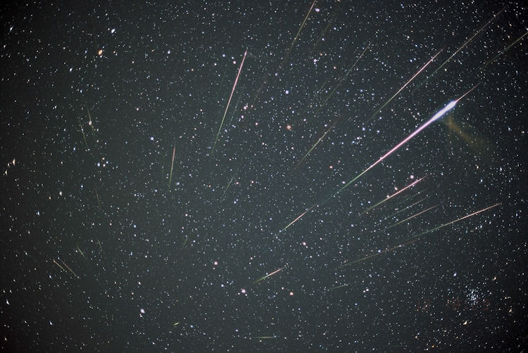 leonids meteor showers
