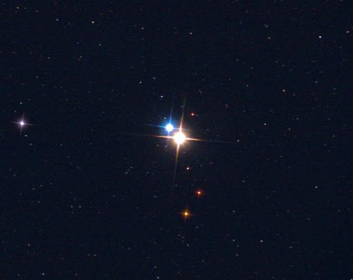 terebellum star