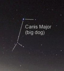 canis major big dog