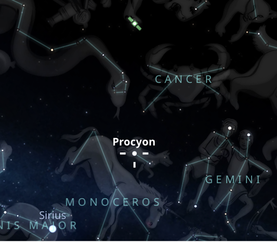 Procyon in the Night Sky